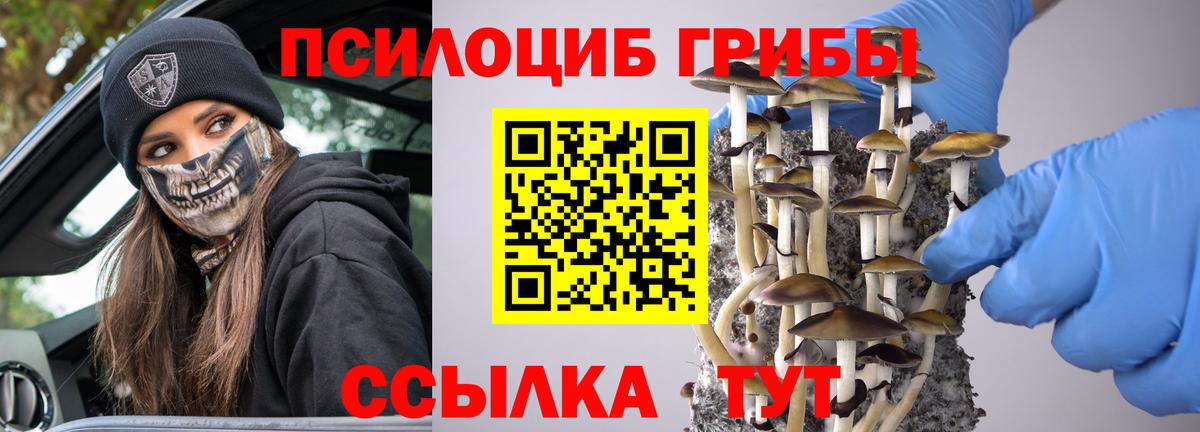 Псилоцибиновые грибы прущие грибы  Псилоцибиновые грибы Cubensis  Вход с VPN  Сухой Лог 